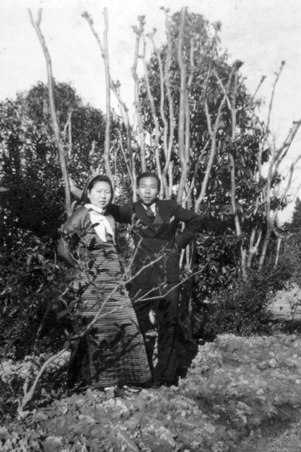 图片1.png